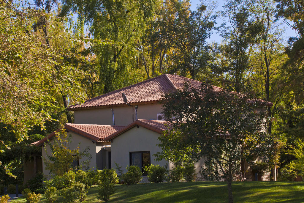 Posada Salentein Los Árboles Стая снимка