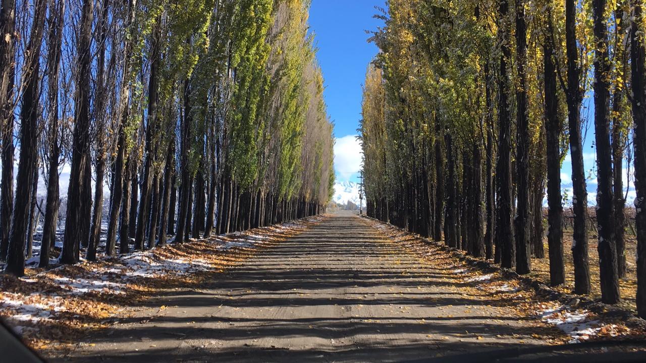 Posada Salentein Los Árboles Екстериор снимка